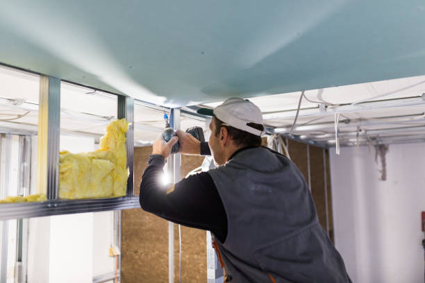 Best Blown-in Insulation in Rockledge, PA
